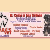 Tara's Vet - cabinet veterinar